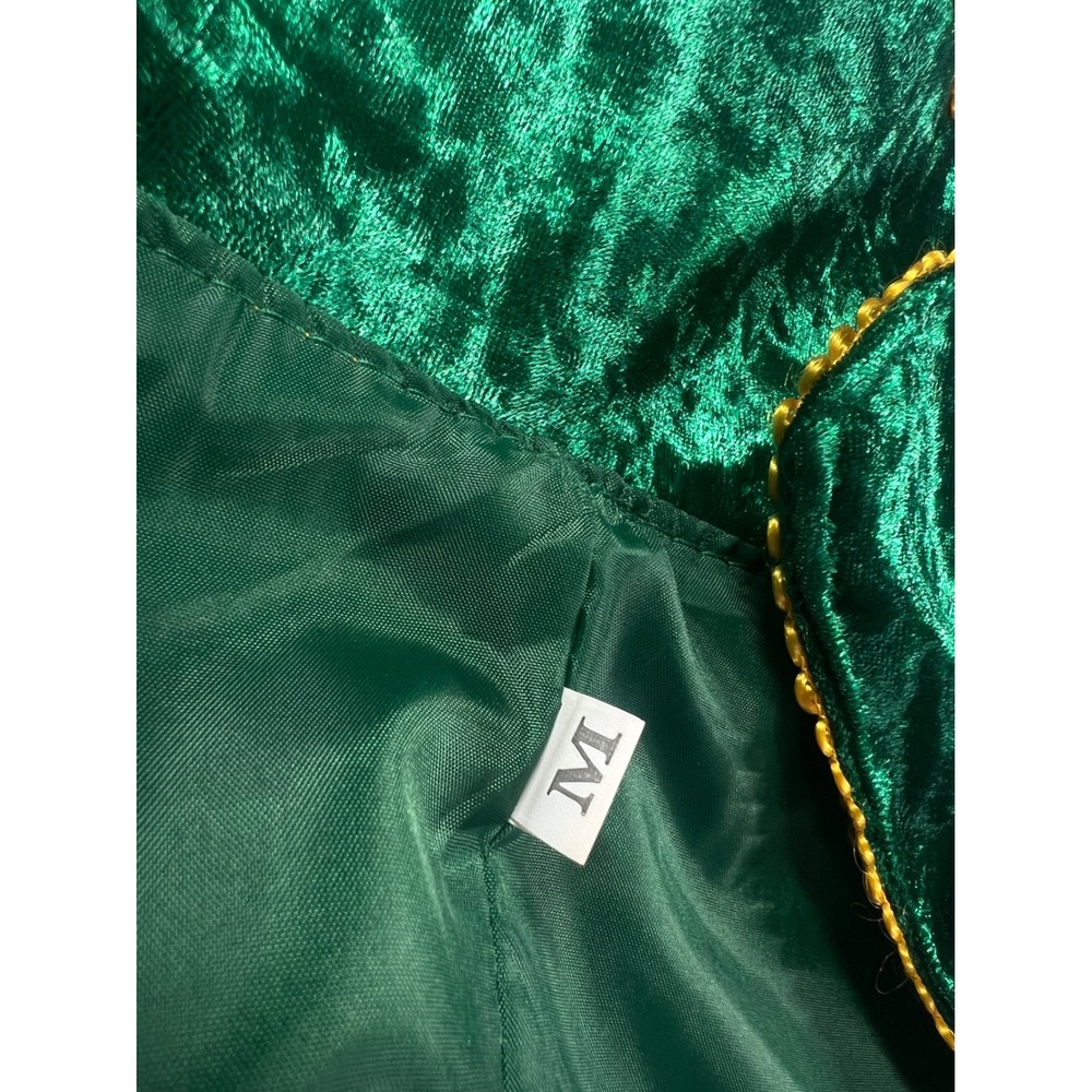 Hocus Pocus Winifred Sanderson Halloween Cosplay Velvet Medieval Gown Medium - Picture 9 of 16